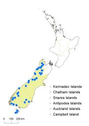 
  Gaimardia setacea distribution map based on databased records at AK, CHR and WELT.
 Image: K. Boardman © Landcare Research 2014 